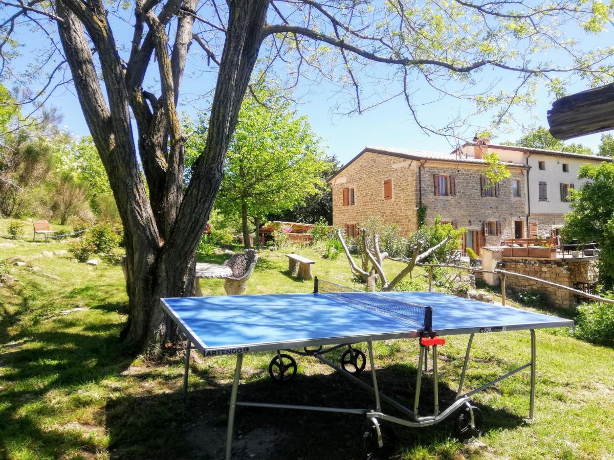 Le Ginestre Apartments Assisi Dış mekan fotoğraf