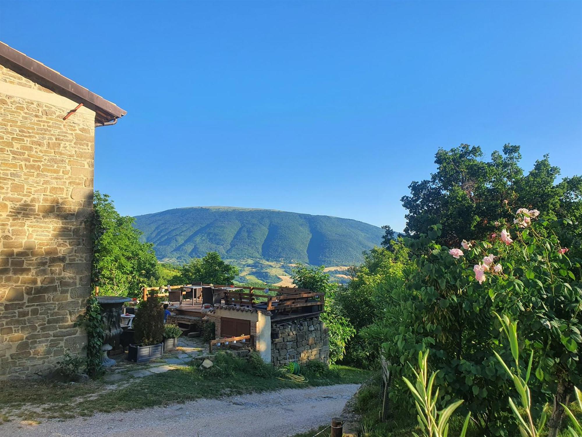 Le Ginestre Apartments Assisi Dış mekan fotoğraf