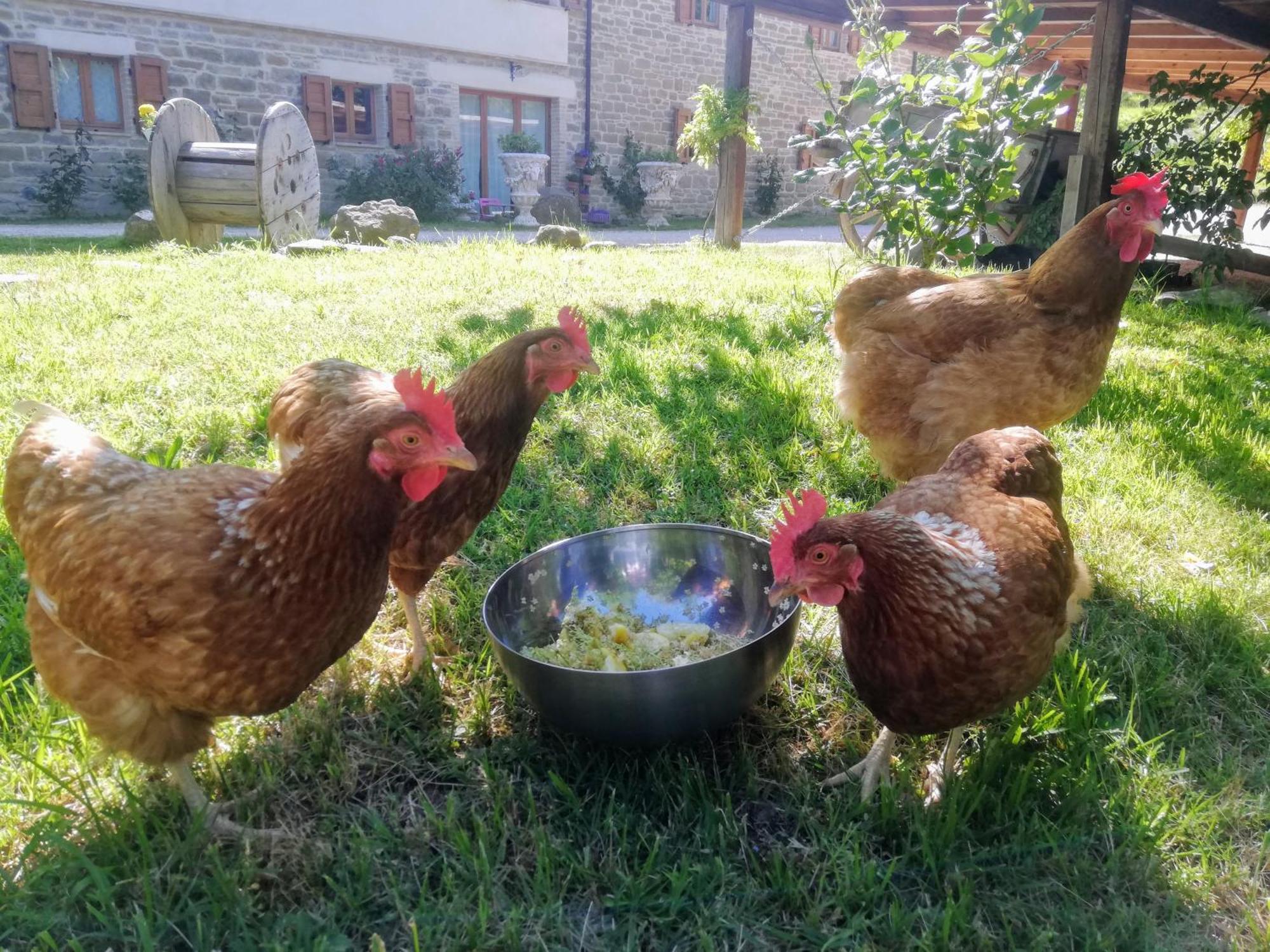Le Ginestre Apartments Assisi Dış mekan fotoğraf