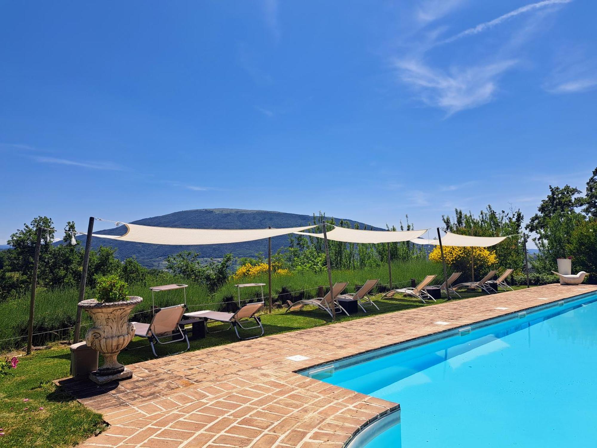 Le Ginestre Apartments Assisi Dış mekan fotoğraf